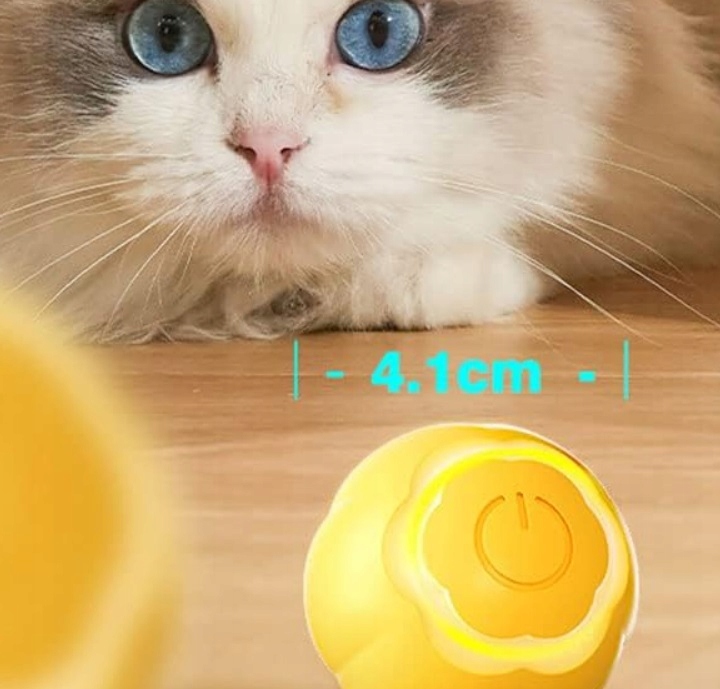 5903899648528 6